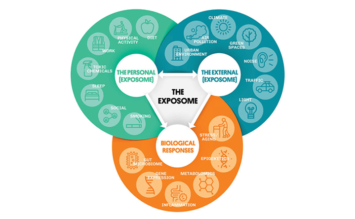 The Exposome: Understanding the Effect of the Environment on Our Health